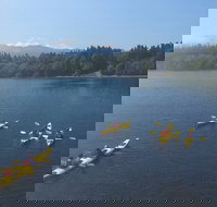 Half-Day Sea Kayaking Trip Near Olympic National Park - Accommodation Alabama