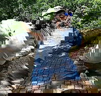 Adventurous Scavenger Hunt in Madison by Zombie Scavengers - Accommodation Alabama