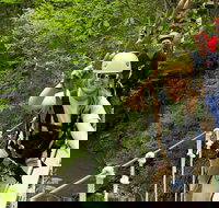 New River Gorge Zip Line Canopy Tour - Accommodation Alabama