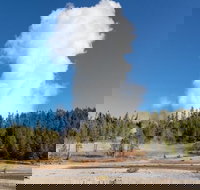 Full-Day Private Safari of Yellowstone - Accommodation Alabama