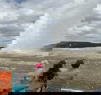 Yellowstone Open Air Tours by Cody Wyoming Adventures - Accommodation Alabama