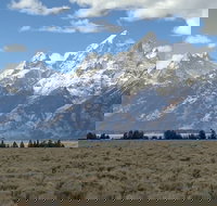 Grand Loop Yellowstone Wildlife and Photo Tour - Accommodation Alabama