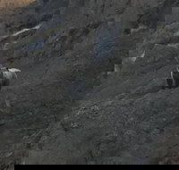 Yellowstones Upper Loop Tour smaller group sizes for better tour experience - Accommodation Alabama