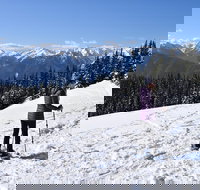 Hurricane Ridge Guided Snowshoe Tour in Olympic National Park - Accommodation Alabama