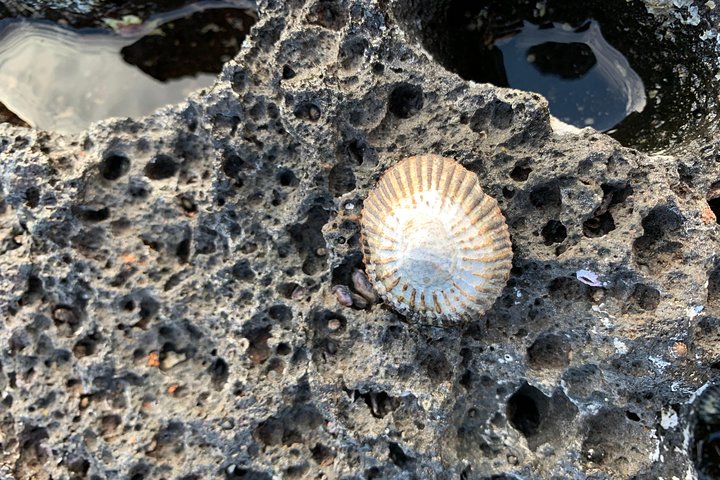 Kauai Private Tour : Waimea Canyon And Southside - thumb 2