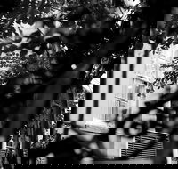 Genteel and Bard's Savannah Dark History and Ghost Walking Tour - Accommodation Alabama