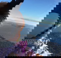 Platinum Package - Helicopter Tour with Dinner at Ruth's Chris or Capital Grille - Accommodation Alabama