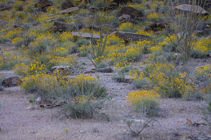 Full-Day Inner Canyon River Tour To The Bottom Of Grand Canyon - thumb 3