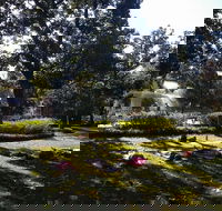 Yoga in Forsyth Park - Accommodation Alabama