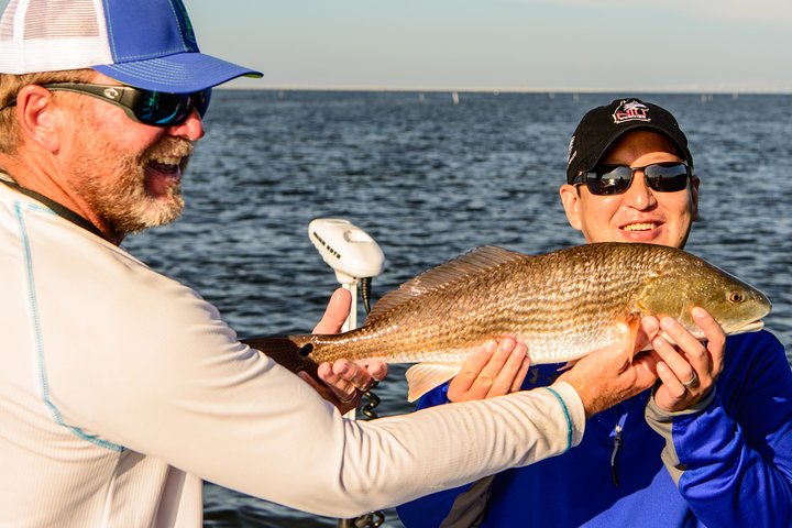 Tampa Bay Fishing Charter Half Day 4 People - thumb 3