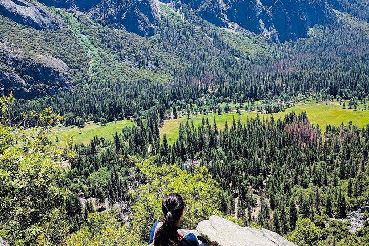 San Francisco to Yosemite One-Way Transfer