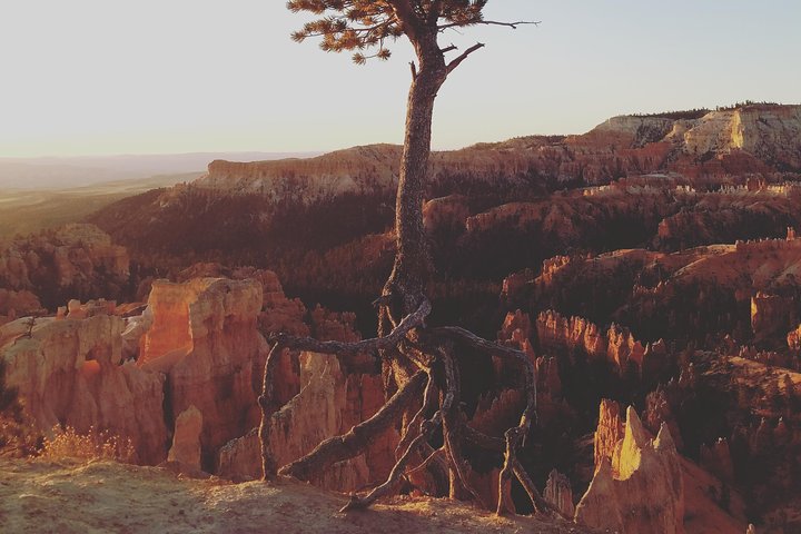 Private Guided Hike in Bryce Canyon National Park with Gourmet Picnic