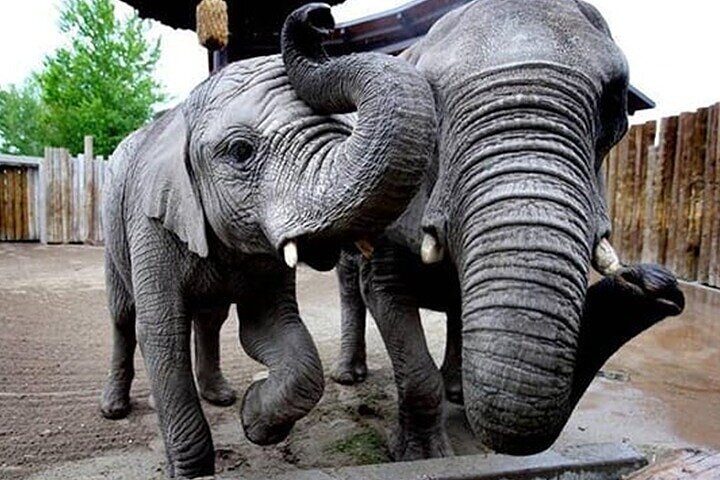 Salt Lake Annual Connect Pass