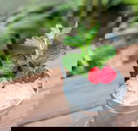 Small-Group Cocktail Tour in Denver - Accommodation Alabama