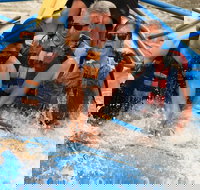 Classic Salt River Raft Trip - Accommodation Alabama