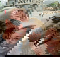 Denver Scavenger Hunt Adventure - Accommodation Alabama