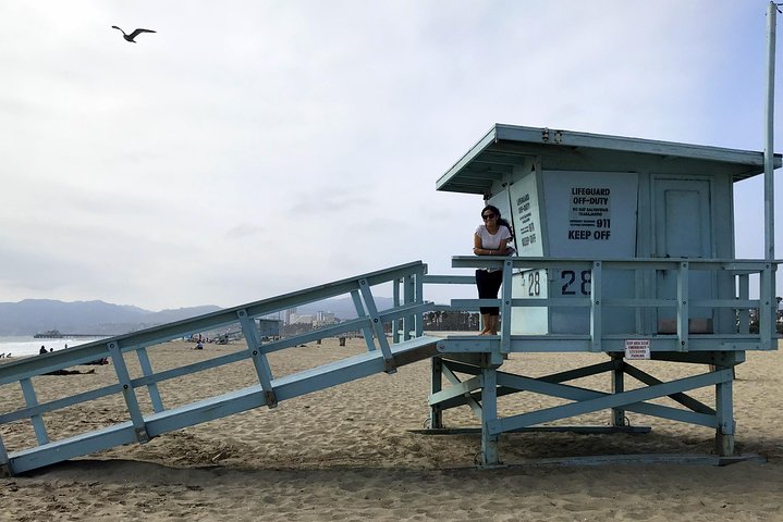 Private Electric Bike Tour of Santa Monica and Venice Beaches