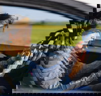 Historical Baltimore Self-Driving Sightseeing Audio Tour - Accommodation Alabama