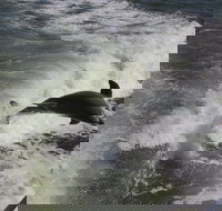 Everglades Adventure Day Trip from Greater Fort Myers/Naples Area - Accommodation Alabama