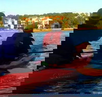 Dolphins and Wildlife Kayak Experience from Gulf Shores - Accommodation Alabama