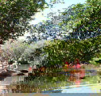 Guided Kayak Eco Tour in Florida - Accommodation Alabama